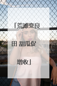 荒滩变良田 甜瓜促增收