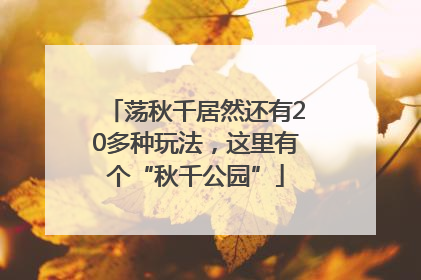 荡秋千居然还有20多种玩法，这里有个“秋千公园”