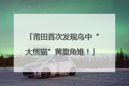 莆田首次发现鸟中“大熊猫”黄腹角雉！