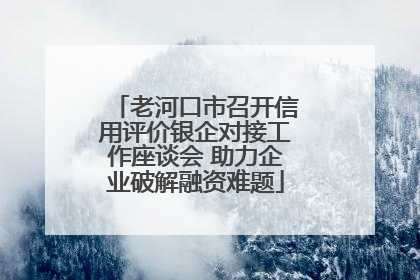 老河口市召开信用评价银企对接工作座谈会 助力企业破解融资难题