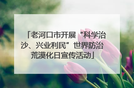老河口市开展“科学治沙、兴业利民”世界防治荒漠化日宣传活动