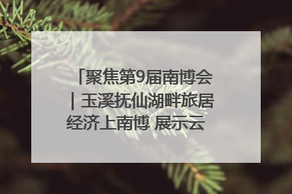 聚焦第9届南博会｜玉溪抚仙湖畔旅居经济上南博 展示云南生活新样本