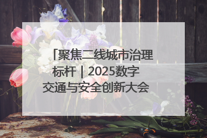 聚焦二线城市治理标杆｜2025数字交通与安全创新大会在保定隆重开幕