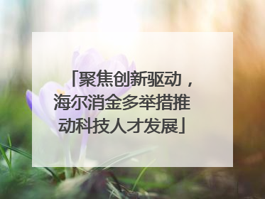 聚焦创新驱动，海尔消金多举措推动科技人才发展