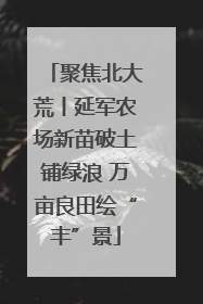 聚焦北大荒丨延军农场新苗破土铺绿浪 万亩良田绘“丰”景