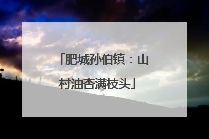肥城孙伯镇：山村油杏满枝头