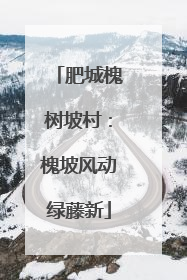 肥城槐树坡村：槐坡风动绿藤新