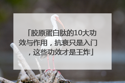 胶原蛋白肽的10大功效与作用，抗衰只是入门，这些功效才是王炸