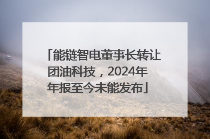 能链智电董事长转让团油科技，2024年年报至今未能发布