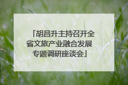 胡昌升主持召开全省文旅产业融合发展专题调研座谈会