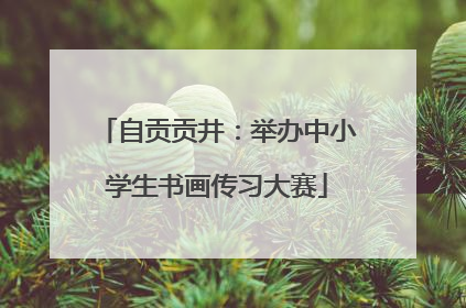 自贡贡井：举办中小学生书画传习大赛