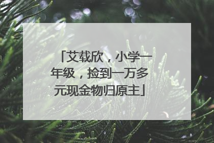 艾载欣，小学一年级，捡到一万多元现金物归原主