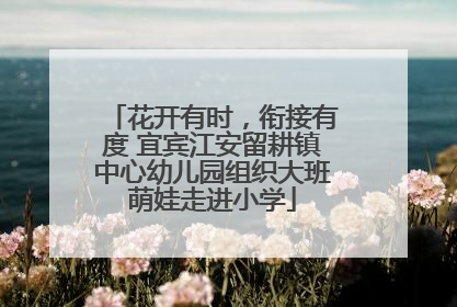 花开有时，衔接有度 宜宾江安留耕镇中心幼儿园组织大班萌娃走进小学