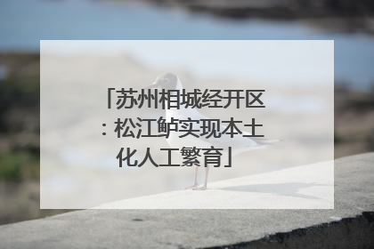 苏州相城经开区：松江鲈实现本土化人工繁育