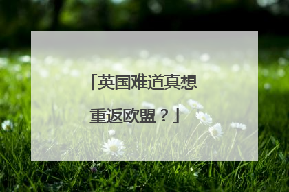 英国难道真想重返欧盟？
