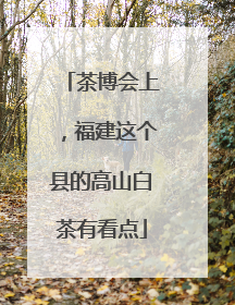 茶博会上，福建这个县的高山白茶有看点