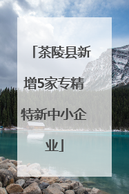 茶陵县新增5家专精特新中小企业