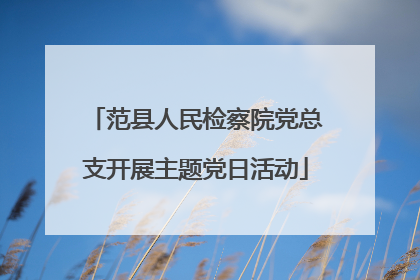 范县人民检察院党总支开展主题党日活动
