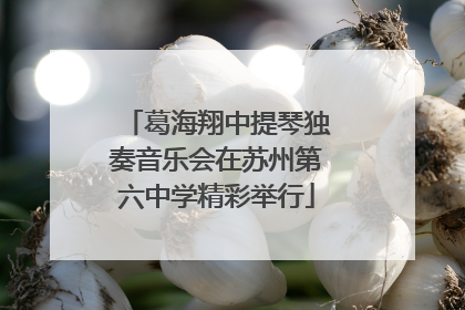 葛海翔中提琴独奏音乐会在苏州第六中学精彩举行