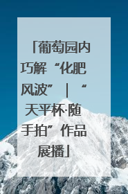 葡萄园内巧解“化肥风波”｜“天平杯·随手拍”作品展播