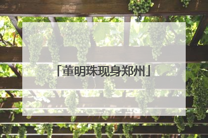 董明珠现身郑州