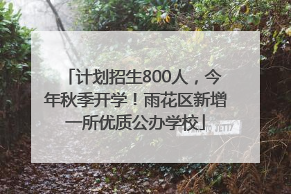 计划招生800人，今年秋季开学！雨花区新增一所优质公办学校