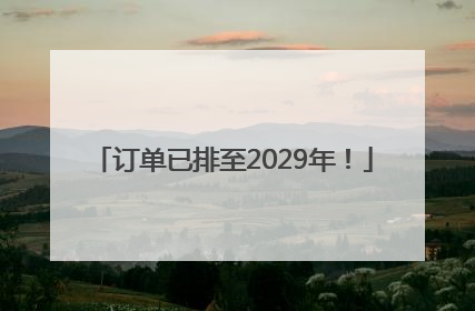 订单已排至2029年！