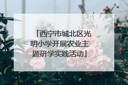 西宁市城北区光明小学开展农业主题研学实践活动