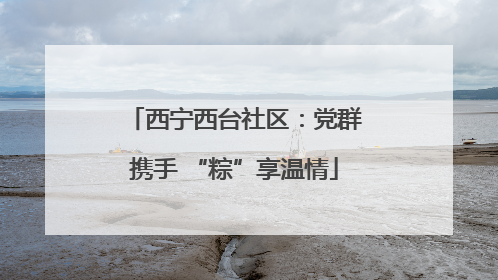 西宁西台社区：党群携手 “粽”享温情