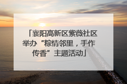 襄阳高新区紫薇社区举办“粽情邻里，手作传香”主题活动