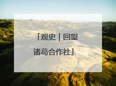 观史｜回望诸葛合作社
