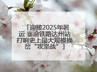 迎接2025年暑运 襄渝铁路达州站打响史上最大规模换岔“攻坚战”