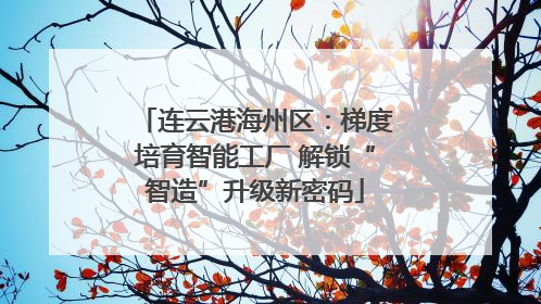 连云港海州区：梯度培育智能工厂 解锁“智造”升级新密码