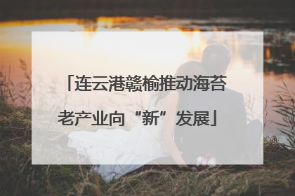 连云港赣榆推动海苔老产业向“新”发展