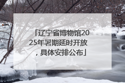辽宁省博物馆2025年暑期延时开放，具体安排公布