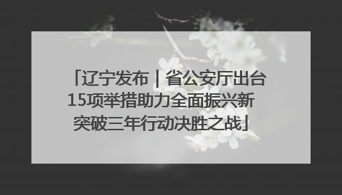 辽宁发布｜省公安厅出台15项举措助力全面振兴新突破三年行动决胜之战