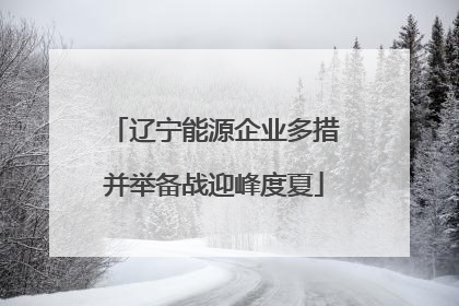 辽宁能源企业多措并举备战迎峰度夏