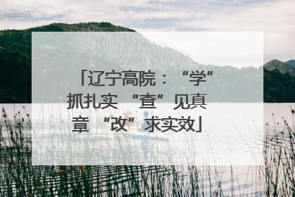 辽宁高院：“学”抓扎实 “查”见真章 “改”求实效
