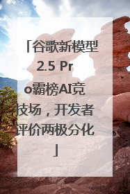 谷歌新模型2.5 Pro霸榜AI竞技场，开发者评价两极分化