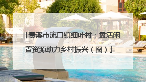 贵溪市流口镇细叶村：盘活闲置资源助力乡村振兴（图）