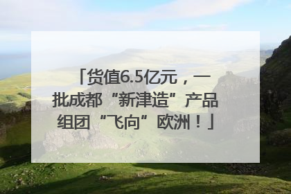 货值6.5亿元，一批成都“新津造”产品组团“飞向”欧洲！