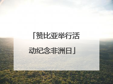赞比亚举行活动纪念非洲日
