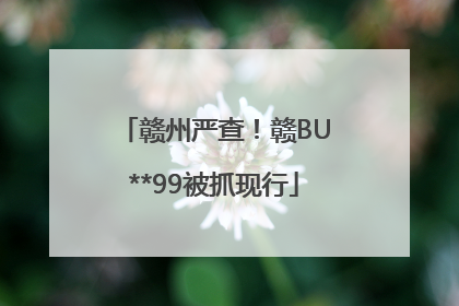 赣州严查！赣BU**99被抓现行