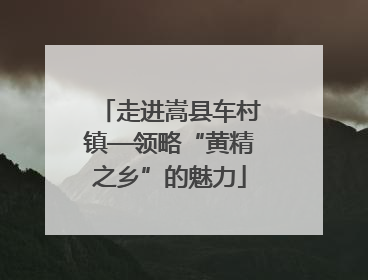 走进嵩县车村镇—领略“黄精之乡”的魅力