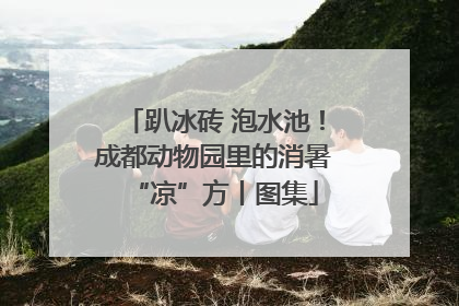 趴冰砖 泡水池！成都动物园里的消暑“凉”方丨图集