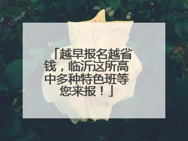 越早报名越省钱，临沂这所高中多种特色班等您来报！