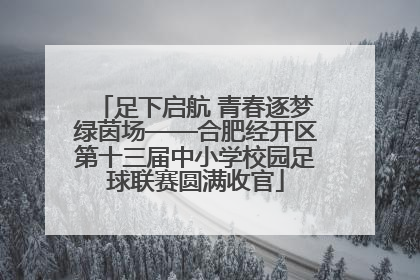 足下启航 青春逐梦绿茵场——合肥经开区第十三届中小学校园足球联赛圆满收官