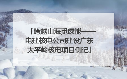 跨越山海觅绿能——电建核电公司建设广东太平岭核电项目侧记