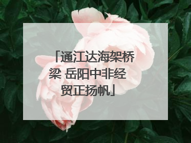 通江达海架桥梁 岳阳中非经贸正扬帆