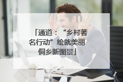 通道：“乡村著名行动”绘就美丽侗乡新图景